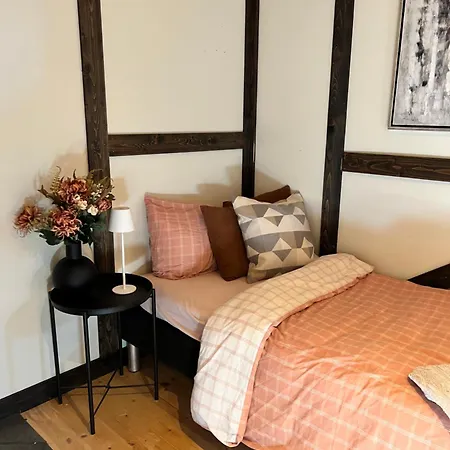 Romslig Enebolig I 아파트 *